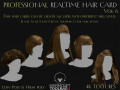 Professional Realtime Haircard Vol 6 3D Model