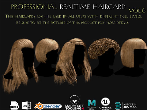 Professional Realtime Haircard Vol 6 Model 3D