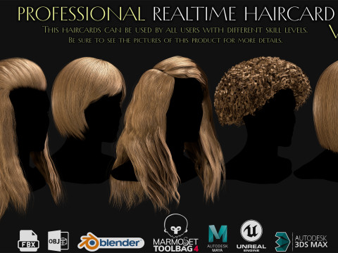 Professional Realtime Haircard Vol 6 3D Модель