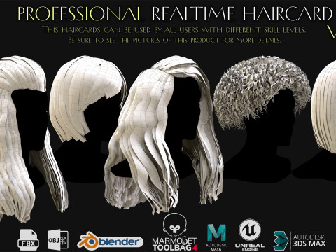 Professional Realtime Haircard Vol 6 3D Модель
