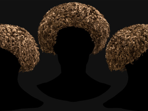 Professional Realtime Haircard Vol 6 3D Модель