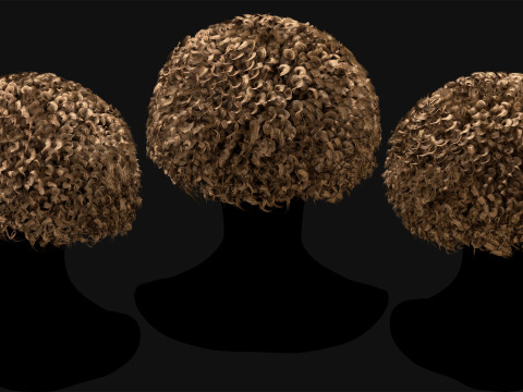Professional Realtime Haircard Vol 6 3D Модель