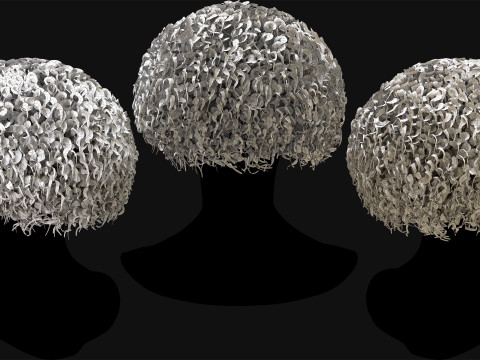 Professional Realtime Haircard Vol 6 3D Модель