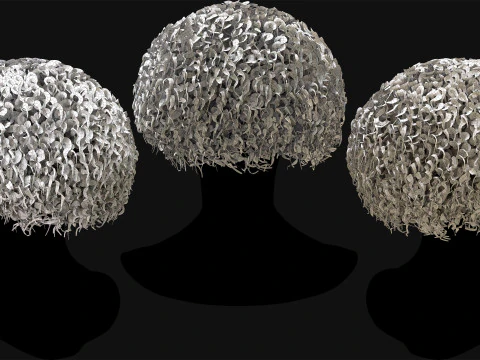 Professional Realtime Haircard Vol 6 3D Model