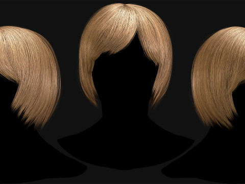 Professional Realtime Haircard Vol 6 3D Модель