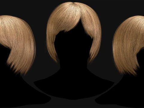 Professional Realtime Haircard Vol 6 3D Model