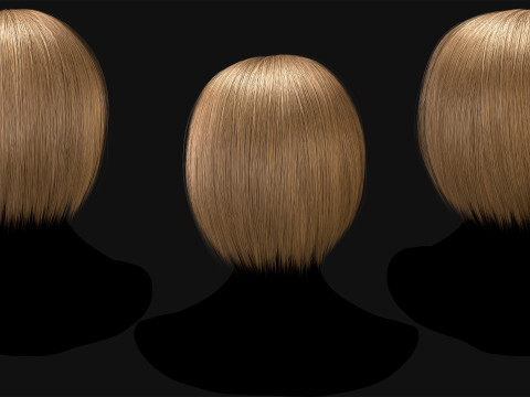 Professional Realtime Haircard Vol 6 3D Модель