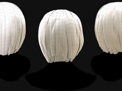 Professional Realtime Haircard Vol 6 3D Model