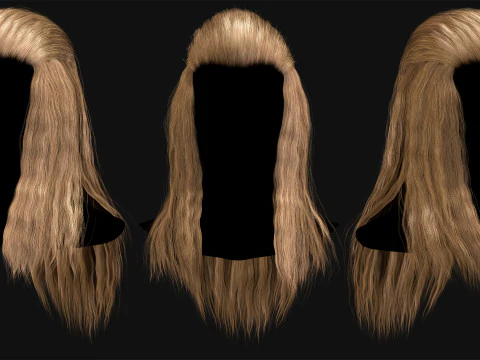 Professional Realtime Haircard Vol 6 3D Model