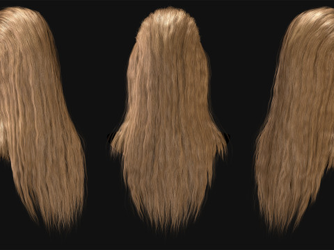 Professional Realtime Haircard Vol 6 3D Модель