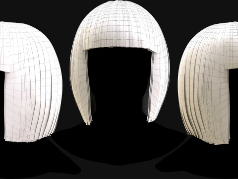Professional Realtime Haircard Vol 6 3D Model