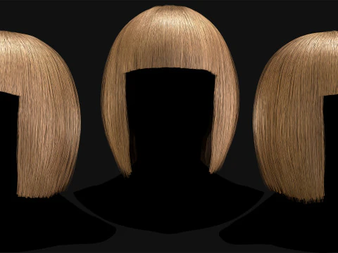 Professional Realtime Haircard Vol 6 3D Model