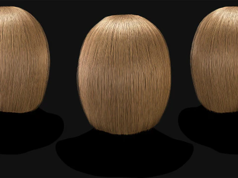 Professional Realtime Haircard Vol 6 3D Model