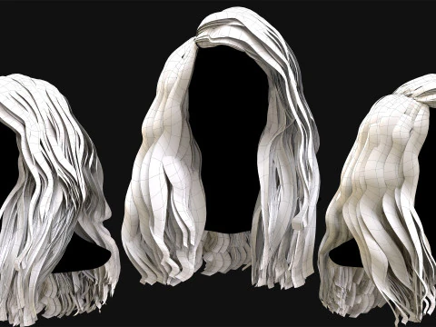 Professional Realtime Haircard Vol 6 3D Model