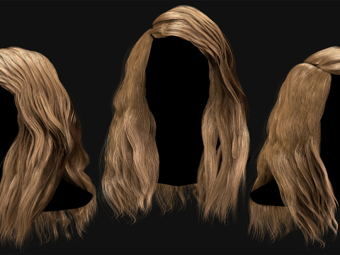 Professional Realtime Haircard Vol 6 3D Модель