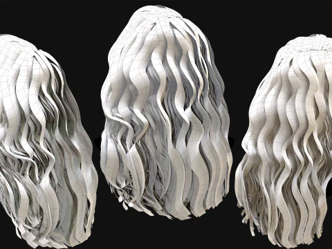 Professional Realtime Haircard Vol 6 3D Model