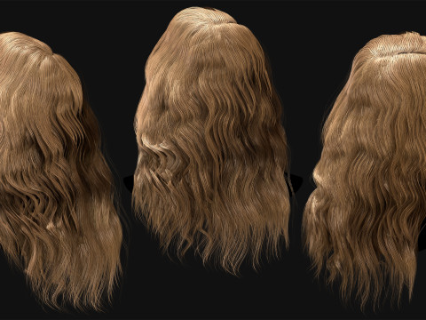 Professional Realtime Haircard Vol 6 3D Модель