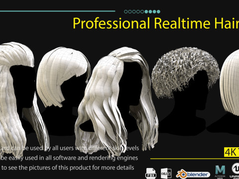Professional Realtime Haircard Vol 6 3D Model