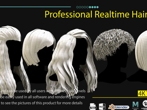 Professional Realtime Haircard Vol 6 3D Model