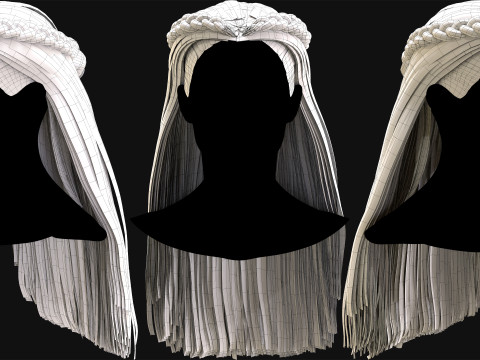 Professional Realtime Haircard Vol 7 3D Model