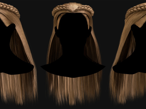 Professional Realtime Haircard Vol 7 3D Model