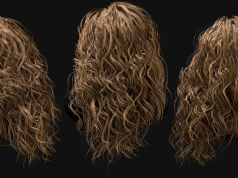 Professional Realtime Haircard Vol 7 3D Model