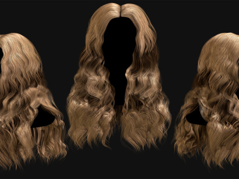 Professional Realtime Haircard Vol 8 3D Модель