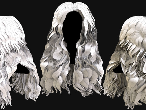 Professional Realtime Haircard Vol 8 3D Модель