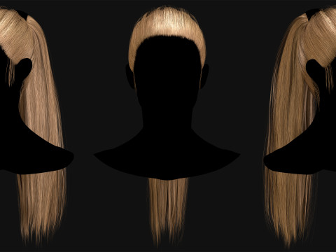 Professional Realtime Haircard Vol 8 3D Модель