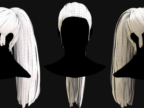 Professional Realtime Haircard Vol 8 3D Модель