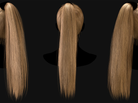 Professional Realtime Haircard Vol 8 3D Модель