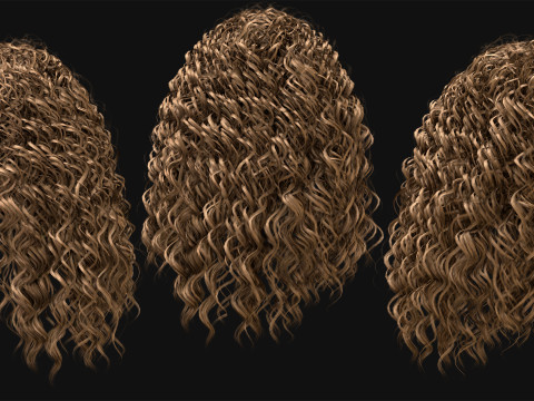 Professional Realtime Haircard Vol 8 3D Модель