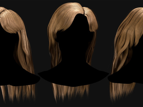 Professional Realtime Haircard Vol 8 3D Модель