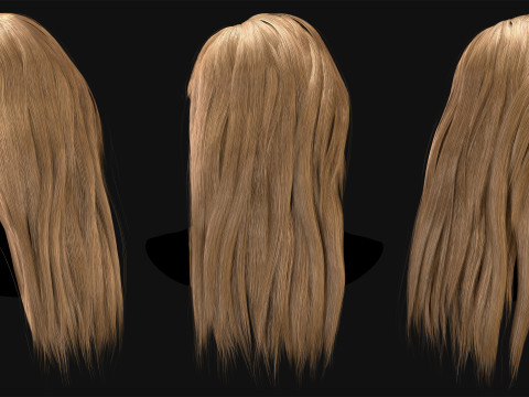 Professional Realtime Haircard Vol 8 3D Модель