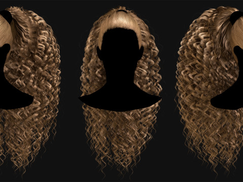 Professional Realtime Haircard Vol 8 3D Модель