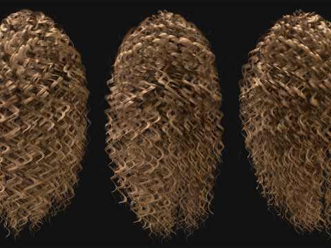 Professional Realtime Haircard Vol 8 3D Модель