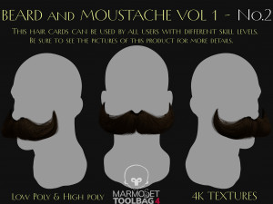 Beard and Moustache Vol 1 - No2 3Dモデル