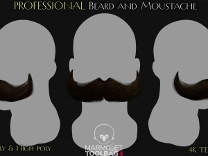 Beard and Moustache Vol 1 - No2 3D Model
