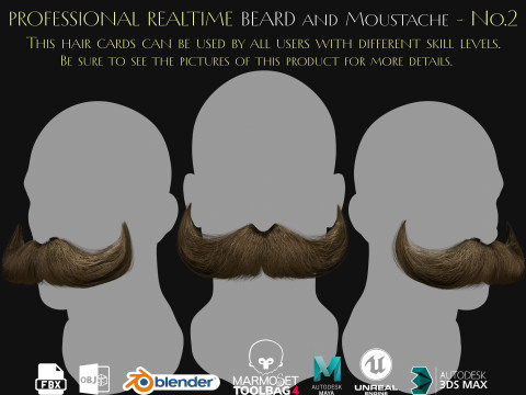 Beard and Moustache Vol 1 - No2 3D मॉडल