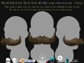 Beard and Moustache Vol 1 - No2 Model 3D