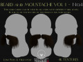 Beard and Moustache Vol 1 - No4 3D-Modell