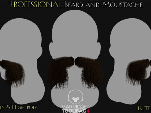 Beard and Moustache Vol 1 - No4 3D Model