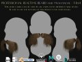 Beard and Moustache Vol 1 - No4 Model 3D