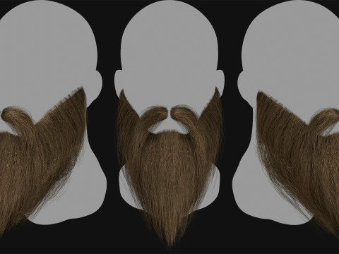 7 Professional Realtime Beard and Moustache 3D-Modell