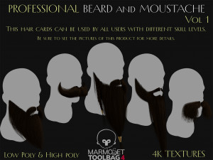 Professional Beard And Mustache Vol 1 Modelo 3D