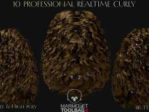 10 Professional Realtime Curly Hair Modelo 3D