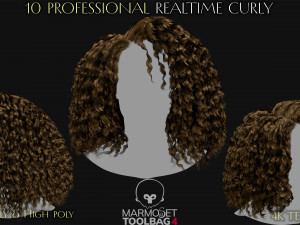 10 Professional Realtime Curly Hair Modelo 3D