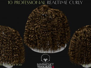 10 Professional Realtime Curly Hair Modelo 3D