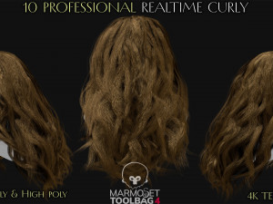 10 Professional Realtime Curly Hair Modelo 3D