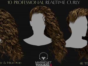 10 Professional Realtime Curly Hair Modelo 3D